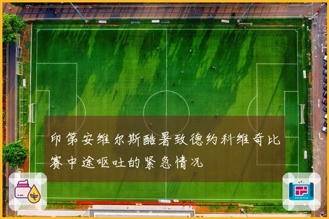 印第安维尔斯酷暑致德约科维奇比赛中途呕吐的紧急情况