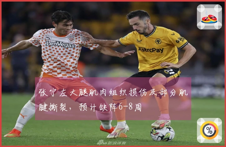 张宁左大腿肌肉组织损伤及部分肌腱撕裂，预计缺阵6-8周
