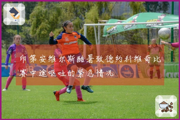 印第安维尔斯酷暑致德约科维奇比赛中途呕吐的紧急情况