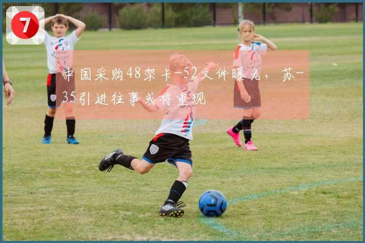 中国采购48架卡-52文件曝光，苏-35引进往事或将重现
